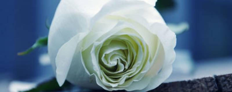 白的颜色有什么白 白的颜色有什么白?