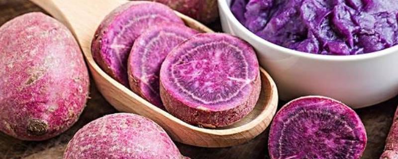 紫色的蔬菜有哪些（苋菜）