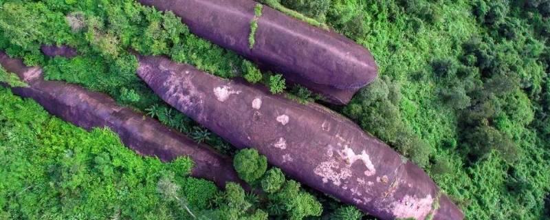 三鲸石是什么（三鲸岩是真的吗）