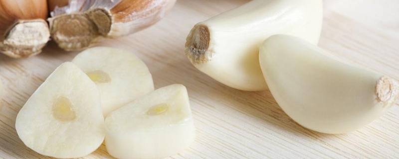 干大蒜怎样可以储存一年 干大蒜怎样可以储存一年以上