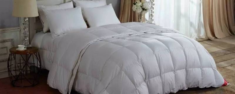 羽绒被能在太阳底下晒吗 羽绒被能在太阳底下晒吗夏天