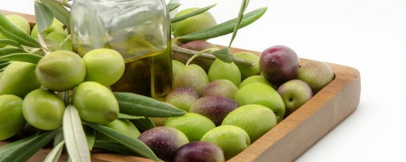 金香榄可以直接吃吗（金香榄能吃吗）