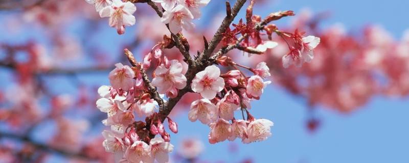 暮春是几月份（初春仲春暮春是几月份）