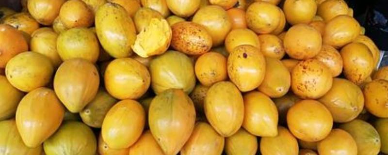 鸡蛋果怎么催熟快（鸡蛋果怎么催熟最快）