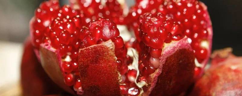 石榴和柚子可以一起吃么（石榴能和柚子一起吃）