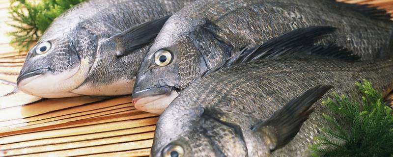 鱼线怎么去除（草鱼鱼线怎么去除）