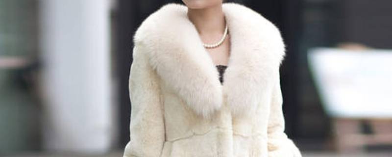 獭兔毛怎么洗（獭兔毛怎么洗水洗可以吗）