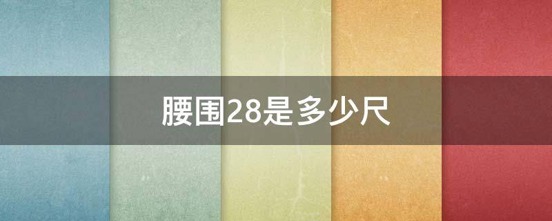 腰围28是多少尺（腰围28是多少尺码女）