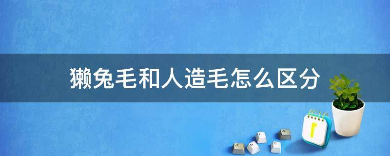 獭兔毛和人造毛怎么区分 獭兔毛和人造毛怎么区分真假