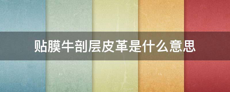 贴膜牛剖层皮革是什么意思（贴膜牛剖层皮革是真皮吗）