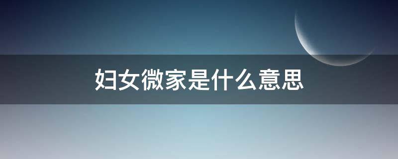 妇女微家是什么意思 妇女微家logo图片