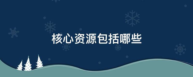 核心资源包括哪些 核心资源包括哪些内容