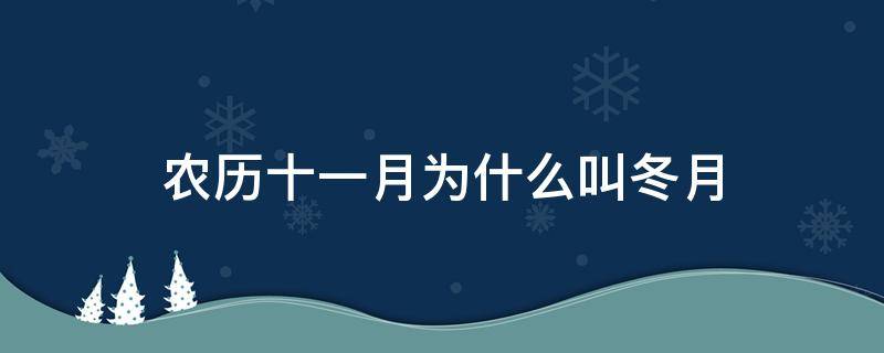 农历十一月为什么叫冬月（农历十一月份为什么叫冬月）