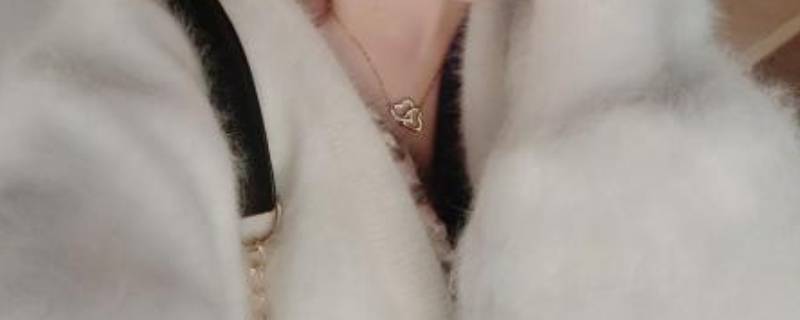 貂绒毛衣掉毛很厉害怎么处理（貂绒毛衣掉毛很厉害怎么处理干净）