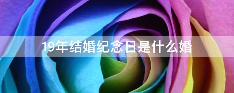 19年结婚纪念日是什么婚（19年结婚纪念日是什么婚翻译）