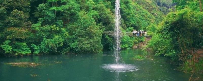 喊泉井原理（喊泉的工作原理）