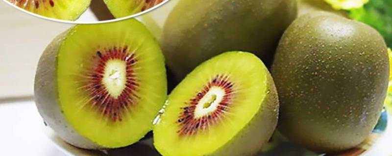 猕猴桃太熟酒味浓能吃吗（猕猴桃太熟了有点酒味能吃吗）