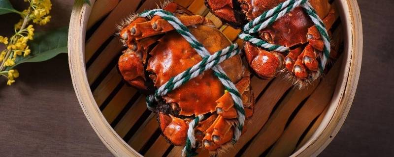 请问虾和螃蟹哪个热量高（虾和螃蟹哪个营养价值高）