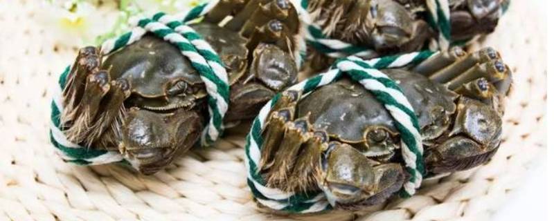 活的螃蟹可以冷冻吗（活的螃蟹可以冷冻吗怎么保存）