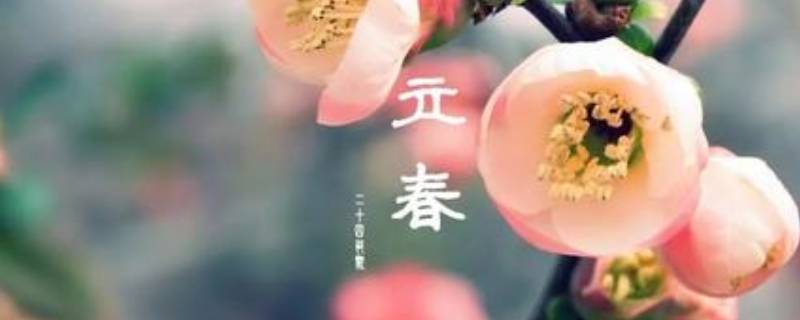 立春过后是什么节气 立春过后是啥节气