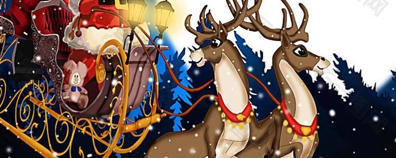 圣诞老人骑的是什么鹿 圣诞老人骑的是什么鹿类