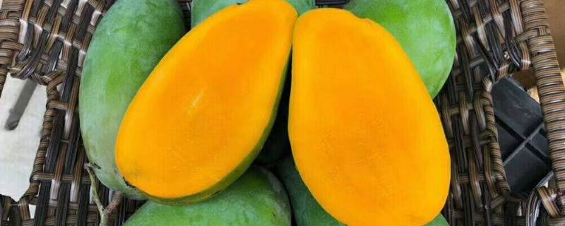 青芒硬的能直接吃吗 大青芒硬的能直接吃吗