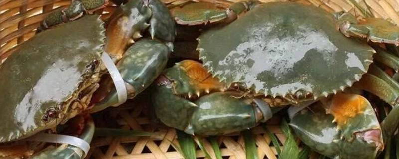 青蟹高压锅要蒸多久 青蟹高压锅要蒸多久才能熟