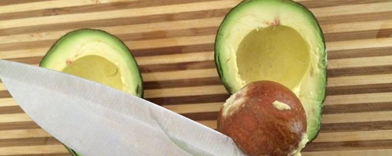 牛油果一般要蒸多久 牛油果一般要蒸多久才熟