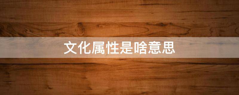 文化属性是啥意思（文化属性是啥意思易中天）