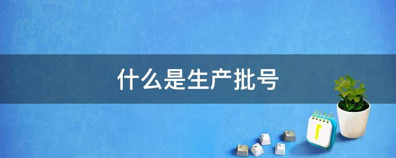 什么是生产批号 什么是生产批号2005120503是什么意思