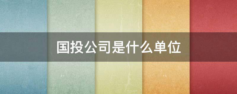 国投公司是什么单位（地方国投公司是什么单位）