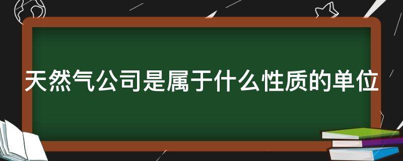 天然气公司是属于什么性质的单位（燃气公司一般怎么招人）