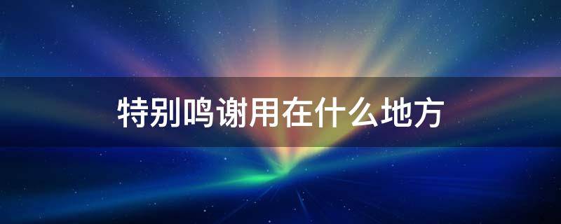 特别鸣谢用在什么地方
