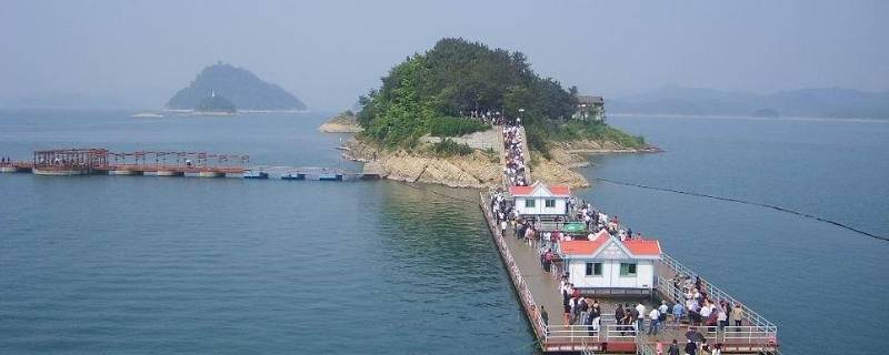 神龙岛在哪（金庸神龙岛在哪）