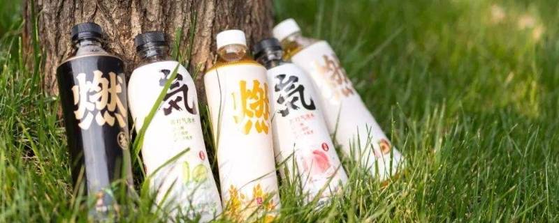 元气森林饮料是哪个公司的（农夫山泉旗下元气森林）