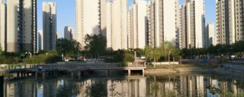 天津东丽区是滨海新区吗（天津东丽区是滨海新区吗现在）