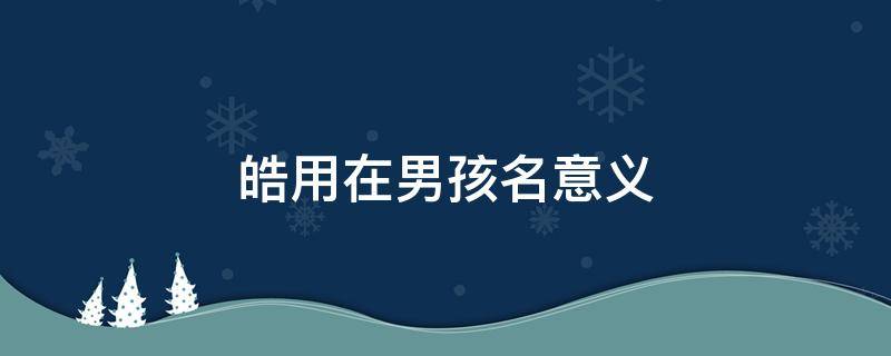 皓用在男孩名意义（皓的意思和含义）