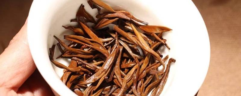 古树金针属什么茶（古树金针属什么茶系）