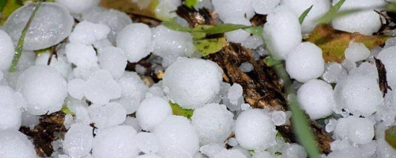 冰雹是哪个季节下的 冰雹是哪个季节下的?