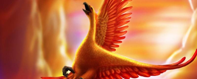 凤凰由来 凤凰由来的绘本