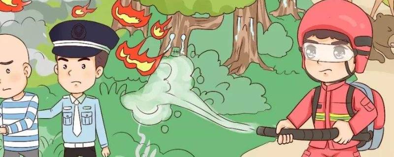 草原森林防火常识 草原森林防火小知识