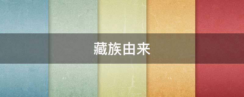 藏族由来 藏族由来 基因