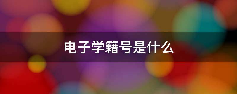 电子学籍号是什么（电子学籍号和学籍号一样吗）