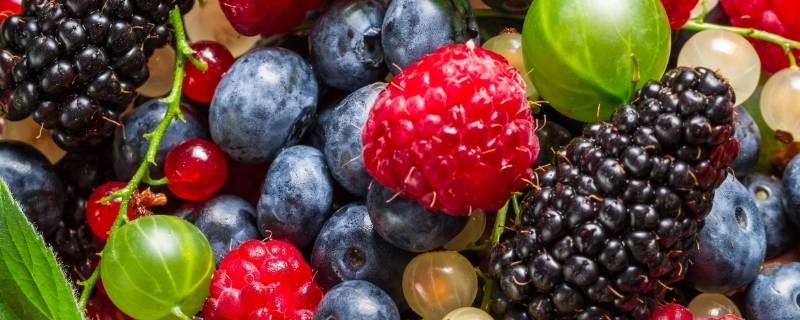 水果品种（水果品种大全名字）