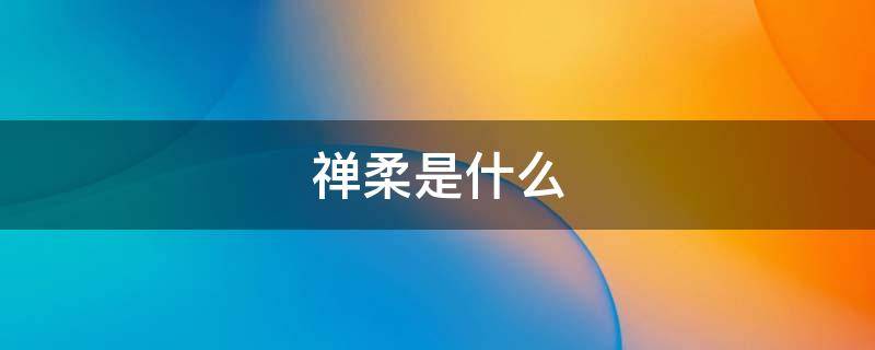禅柔是什么（禅柔动作技巧训练方法）