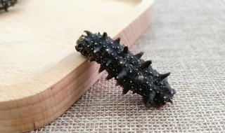 干海参怎样清洗得干净（海参怎么洗才干净）