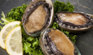 鲍鱼怎样清洗能干净（鲍鱼怎么清洗才能干净）