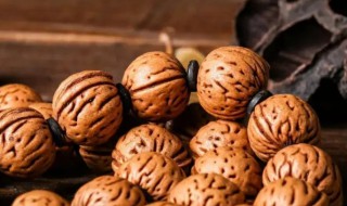 山桃核怎样才能清洗干净（山桃核如何才能清理干净）