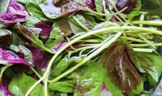 苋菜怎样清洗才干净（苋菜怎样清洗才干净图片）