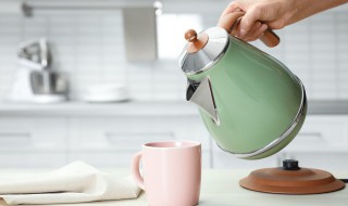 怎样把水壶内部清洗干净（水壶内怎么清洗）